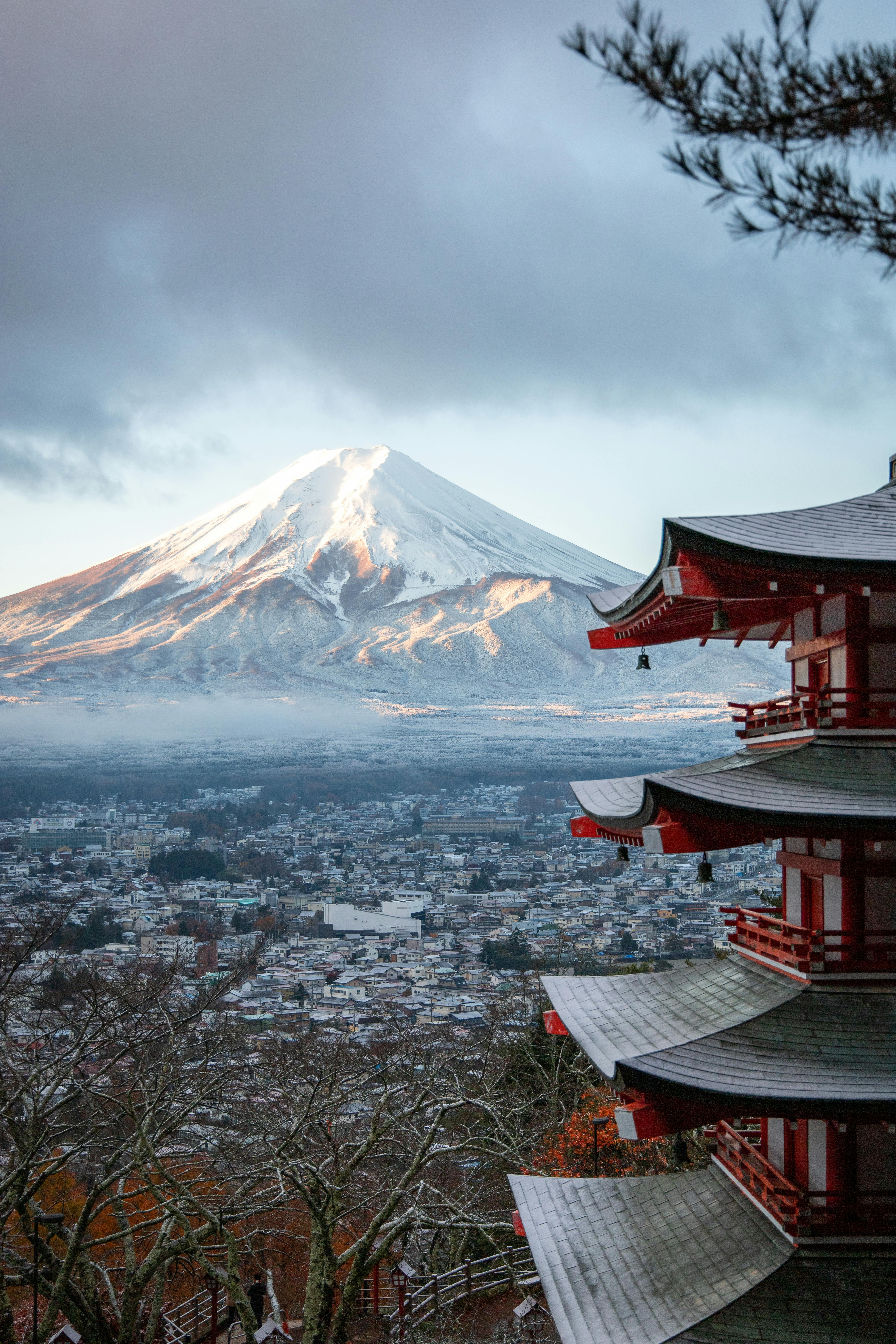1 an au Japon, le bilan