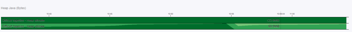 60Mb de la heap utilisée