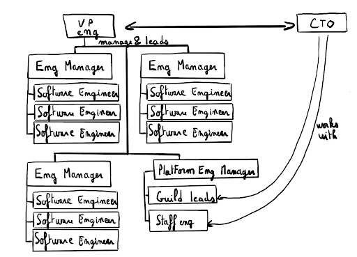 Organization with CTO and VP